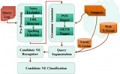 Search Query Semantics