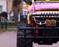 Feral Robots