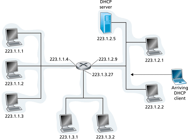 DHCP client-server scenario